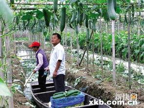 娱乐吃瓜村,揭秘娱乐圈背后的那些事儿  第3张